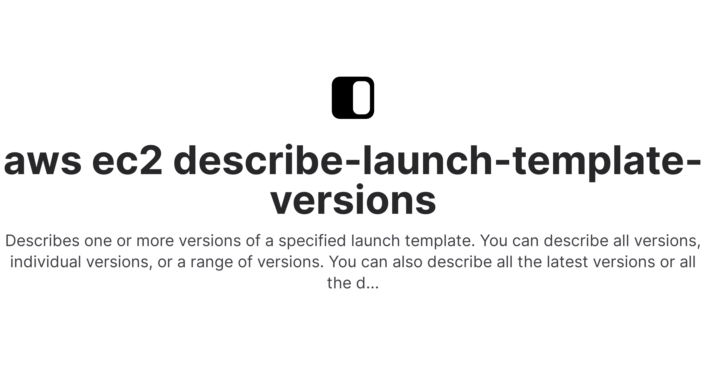 aws ec2 describe launch template versions Fig