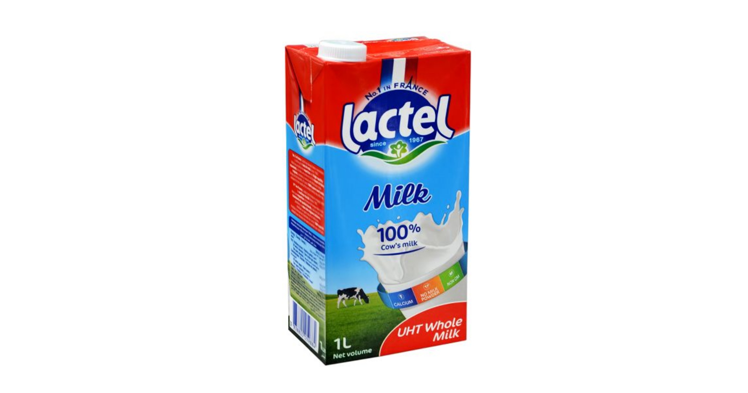 LECHE PASCUAL BRIK 200 ml - TelollevoGo