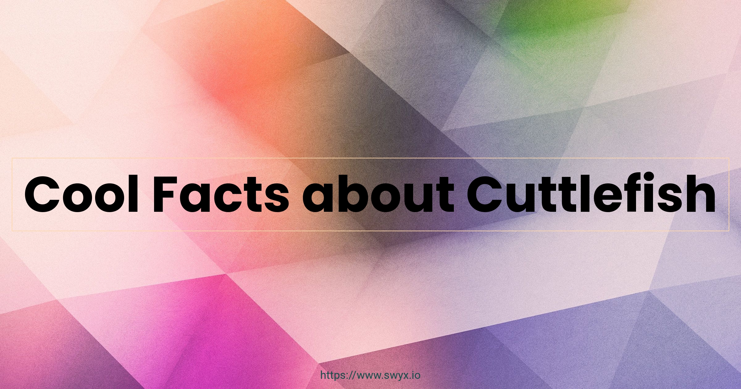 Cool Facts about Cuttlefish